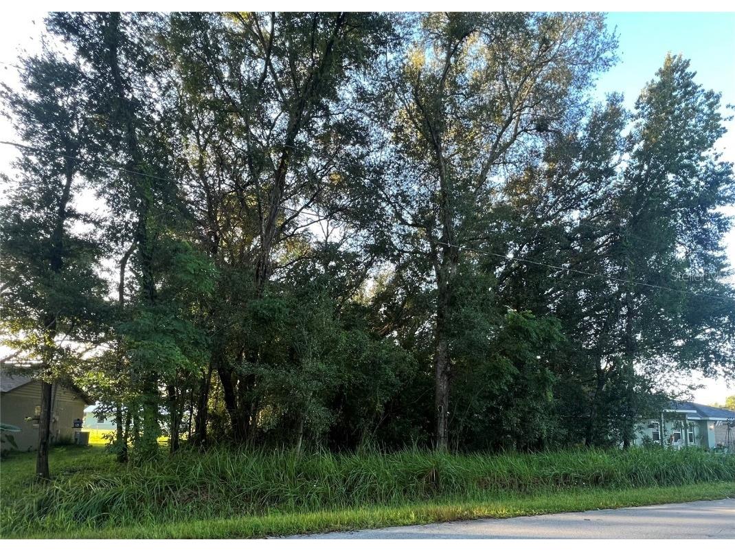 0 Pine Circle Ocala FL 34472 OM664954 image1