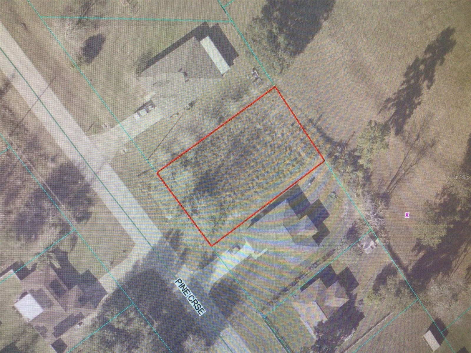 0 Pine Course Ocala FL 34472 OM727973 image2