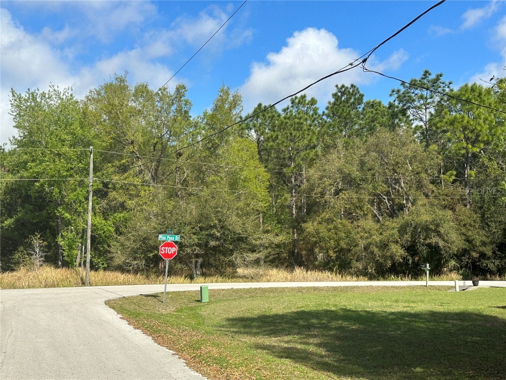 0 Pine Pass Drive Ocala FL 34472 OM653851 image1
