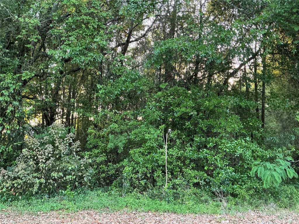 0 Pine Trace Course Ocala FL 34472 OM701773 image1