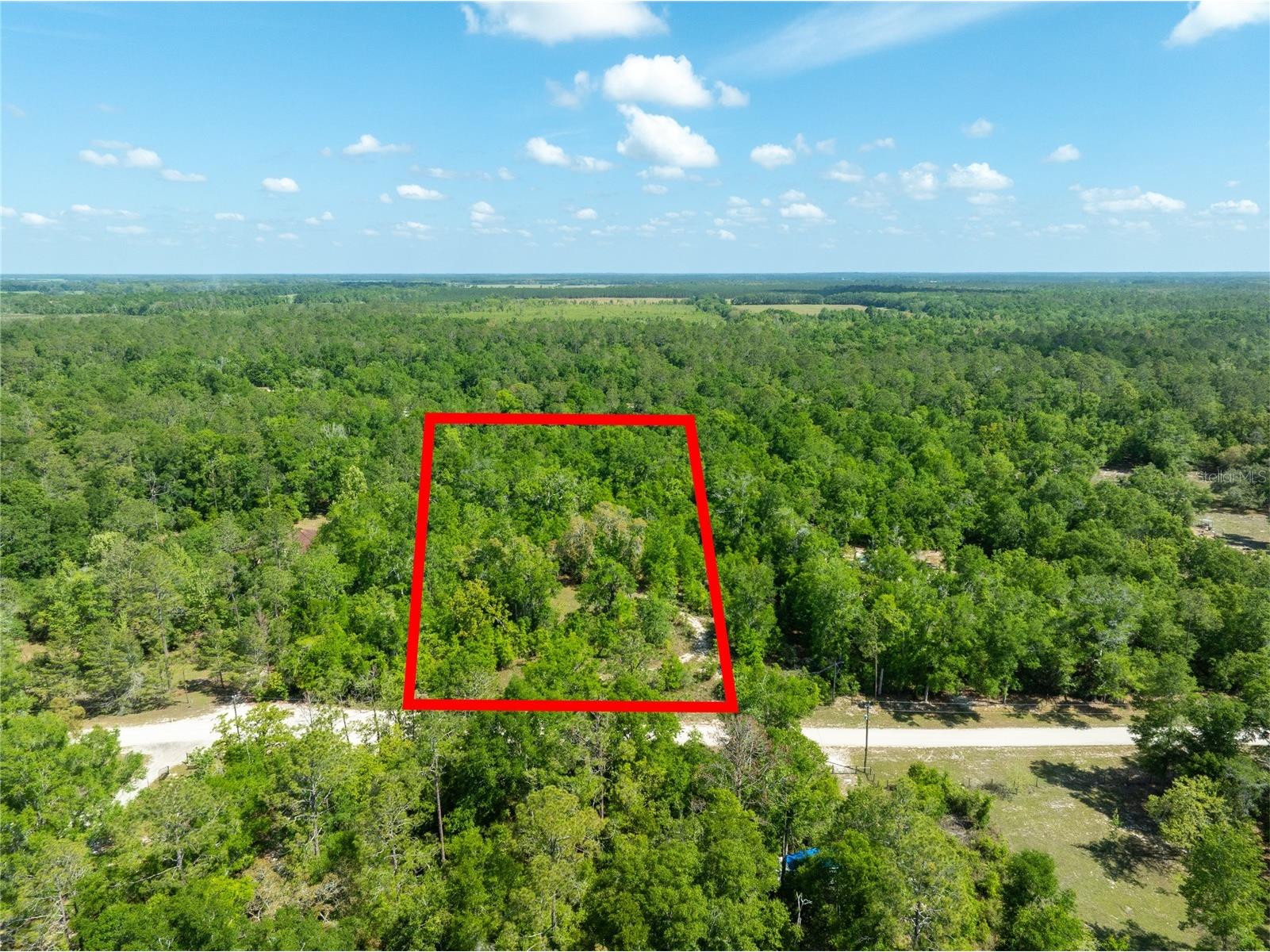 0 Pine Way O'Brien FL 32071 A4690855 image1