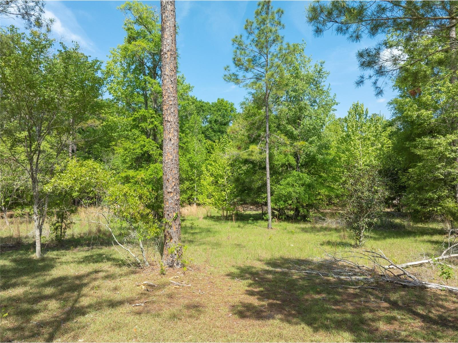 0 Pine Way O'Brien FL 32071 A4690855 image10