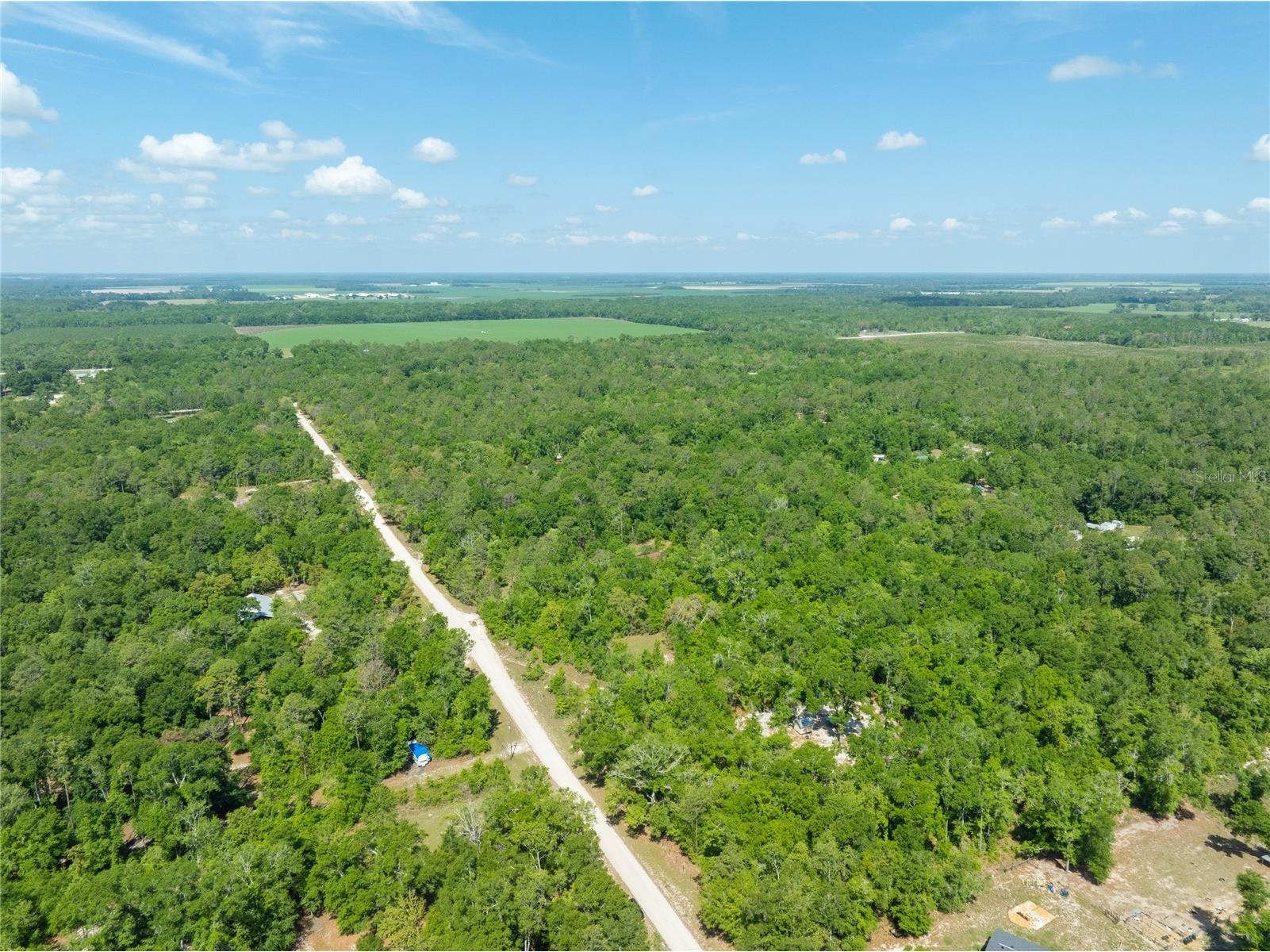 0 Pine Way O'Brien FL 32071 A4690855 image3