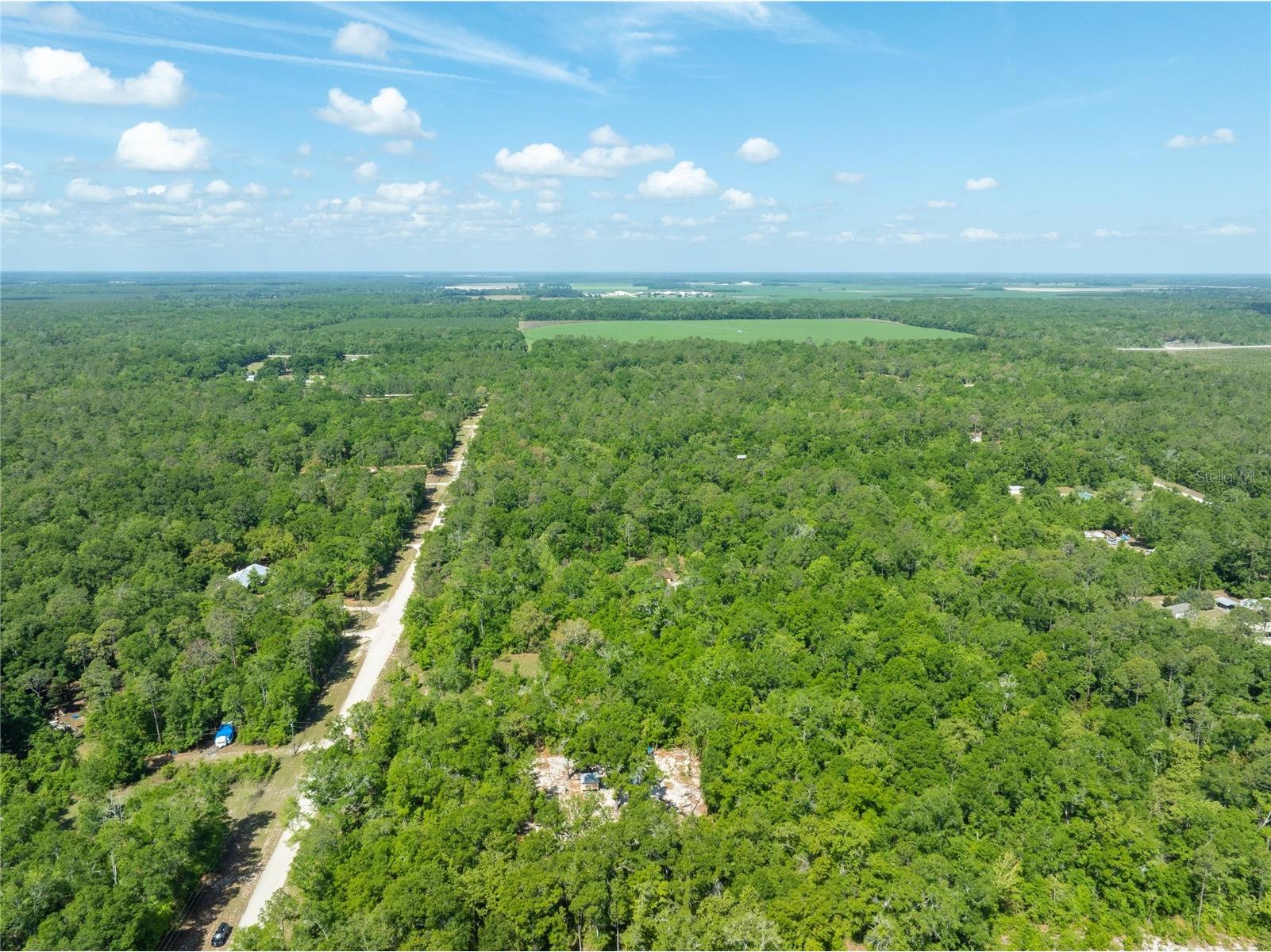 0 Pine Way O'Brien FL 32071 A4690855 image4