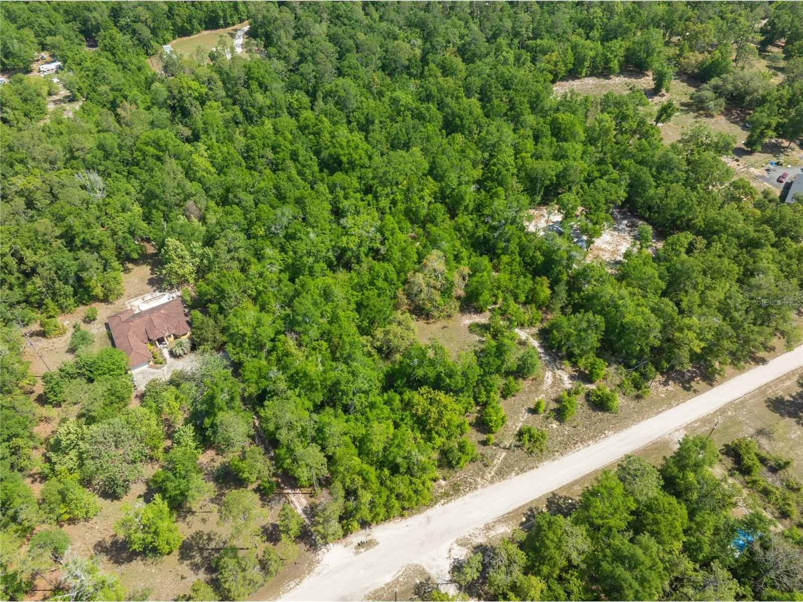 0 Pine Way O'Brien FL 32071 A4690855 image5