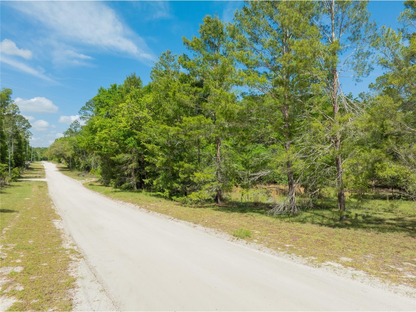 0 Pine Way O'Brien FL 32071 A4690855 image7
