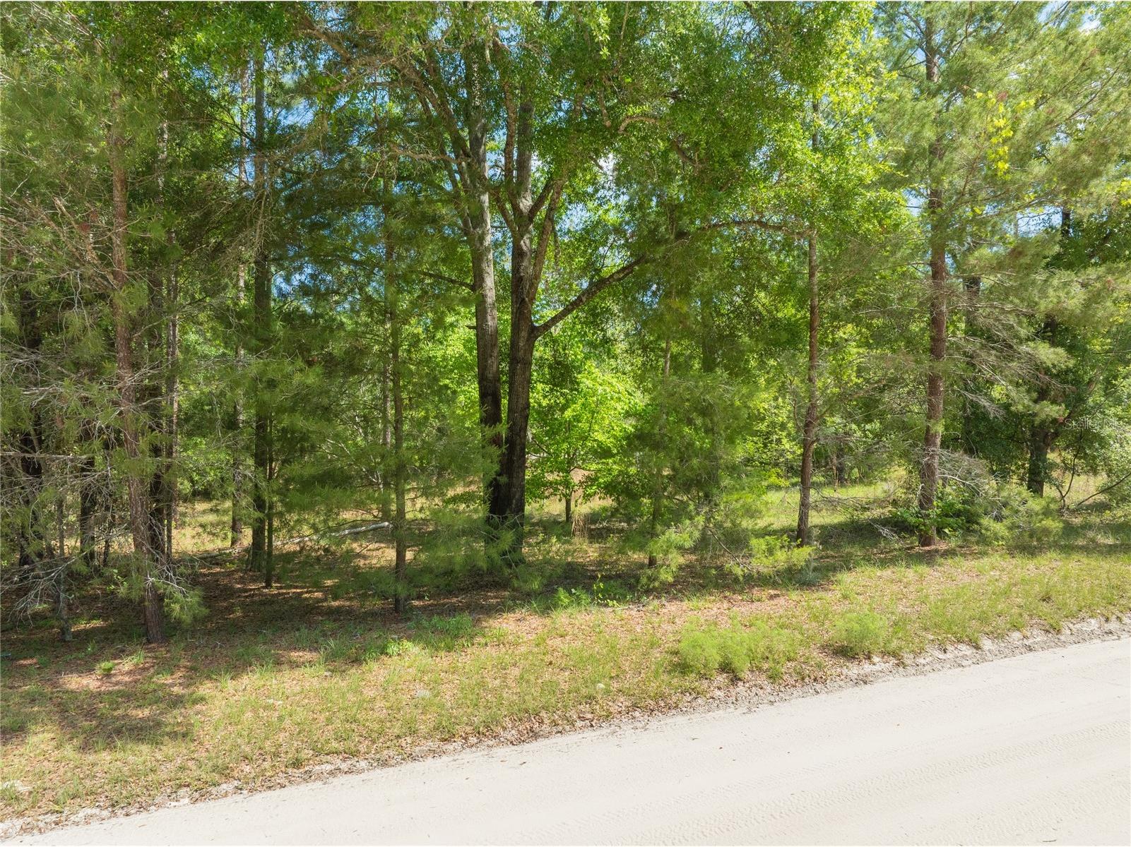 0 Pine Way O'Brien FL 32071 A4690855 image9