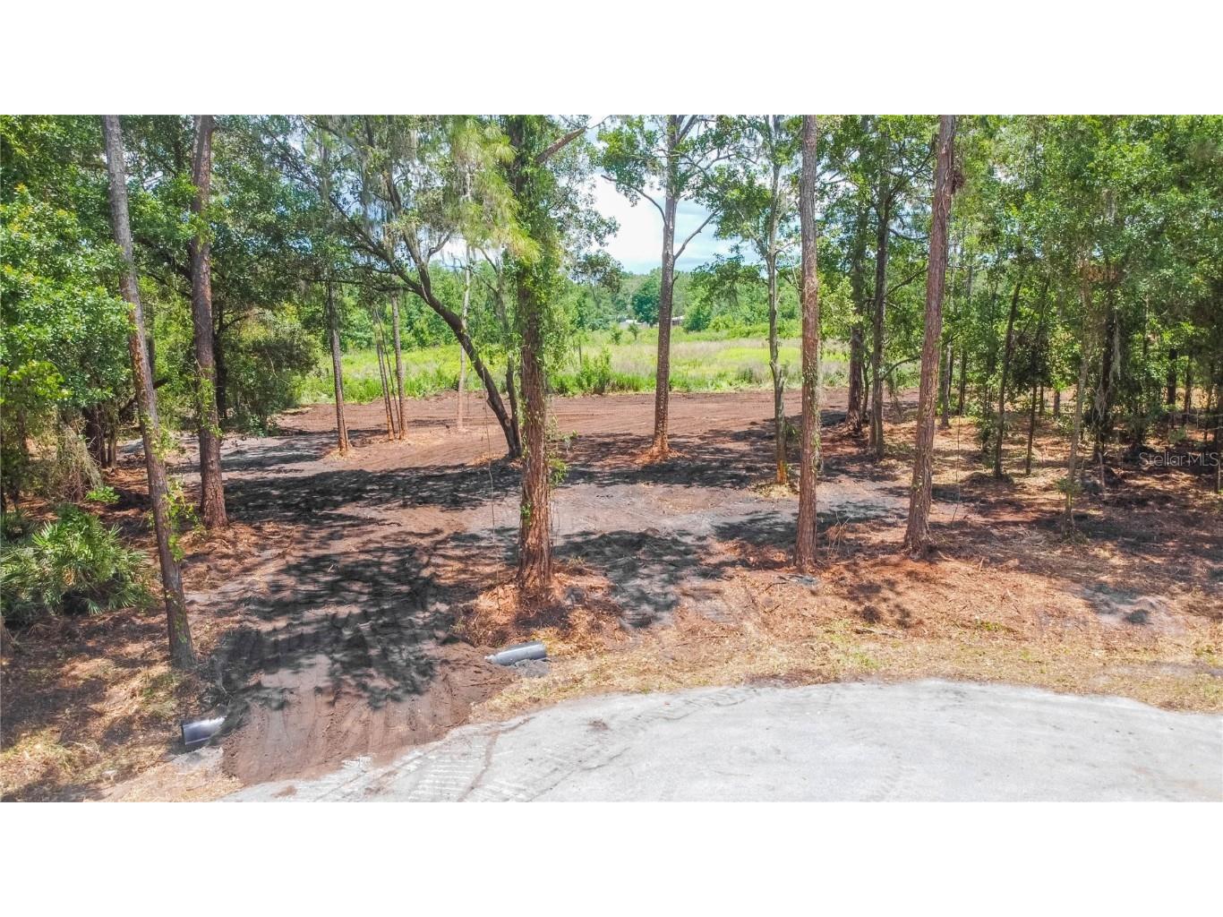 0 Pinecone Drive Lakeland FL 33809 L4930374 image1