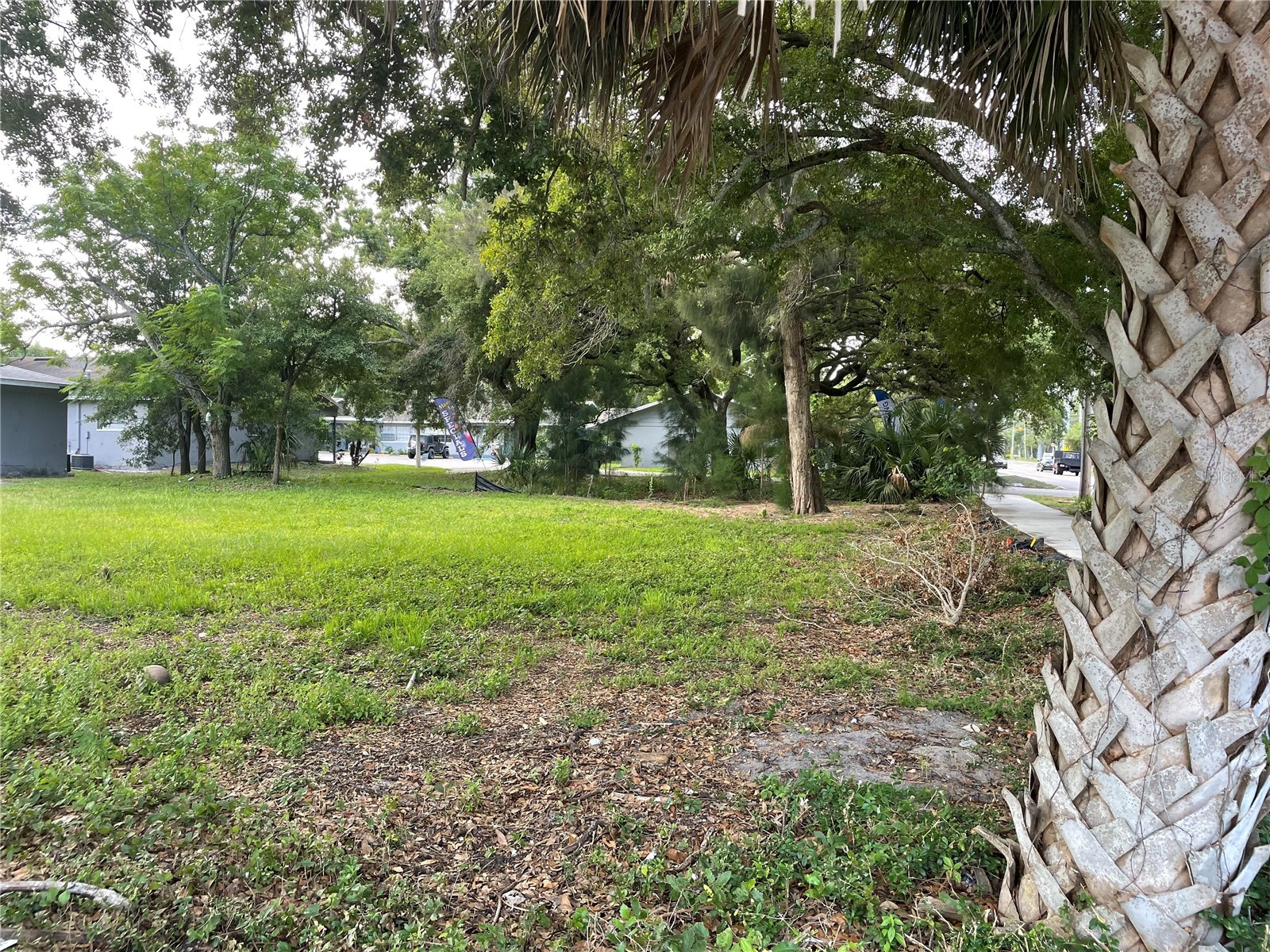 Pinellas Street Clearwater FL 33756 TB8526902 image2