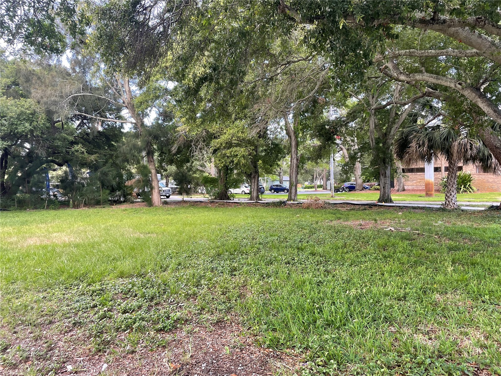 Pinellas Street Clearwater FL 33756 TB8526902 image3