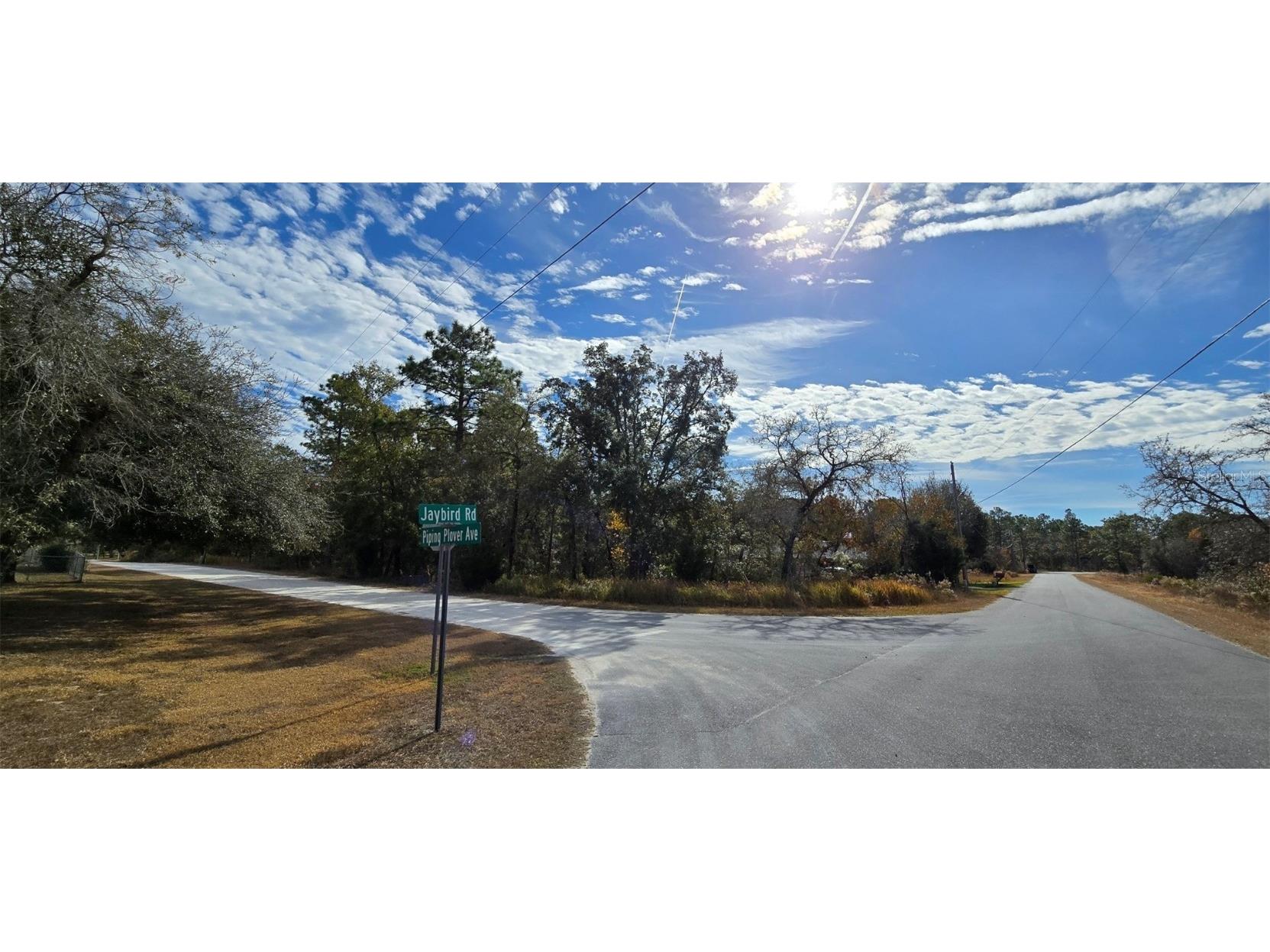 0 Piping Plover Avenue Brooksville FL 34614 W7870628 image1