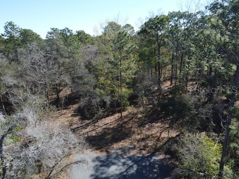 0 Piping Plover Avenue Weeki Wachee FL 34614 W7862256 image1