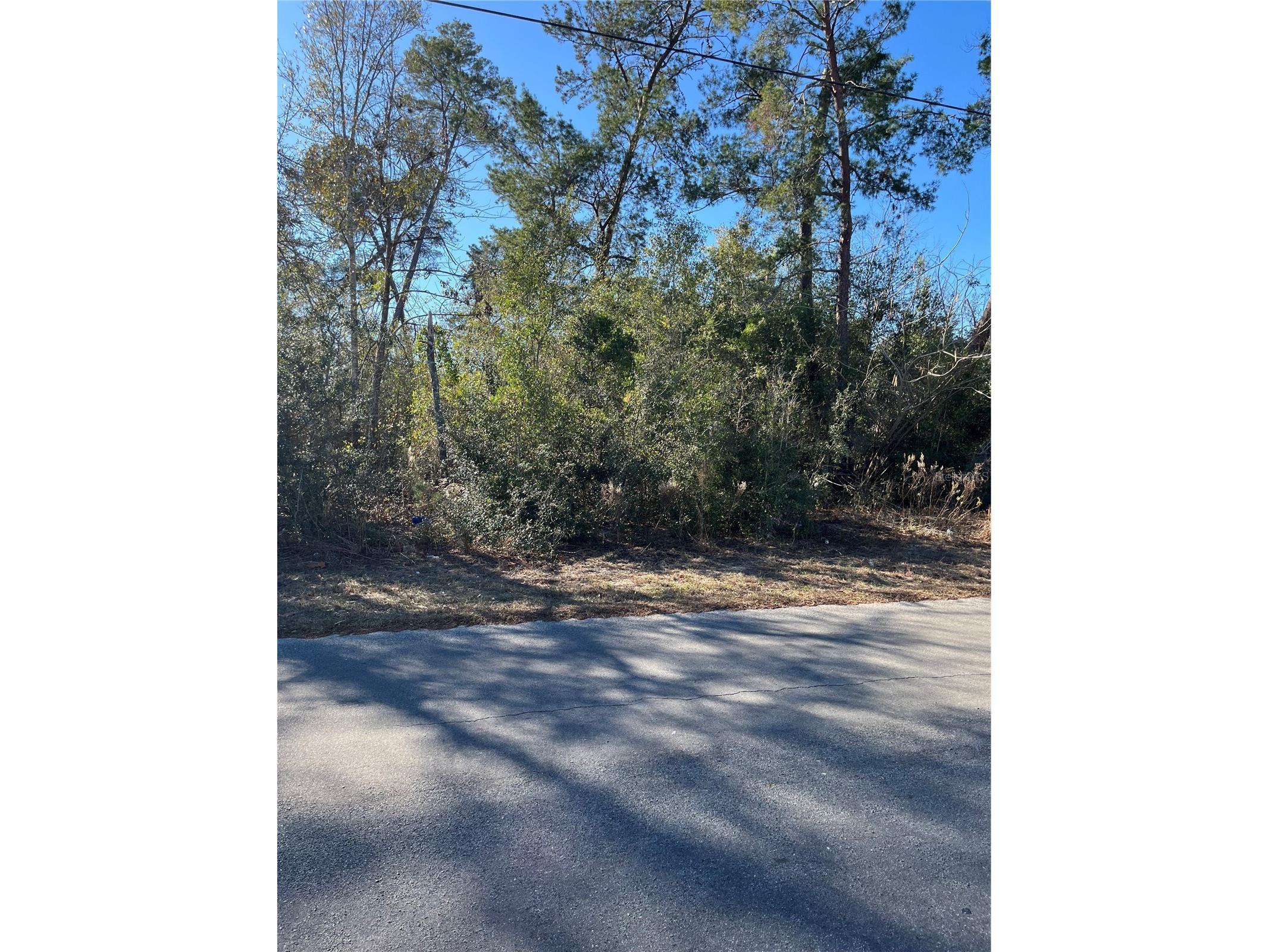 0 Pitcairn Street Brooksville FL 34613 TB8477325 image1