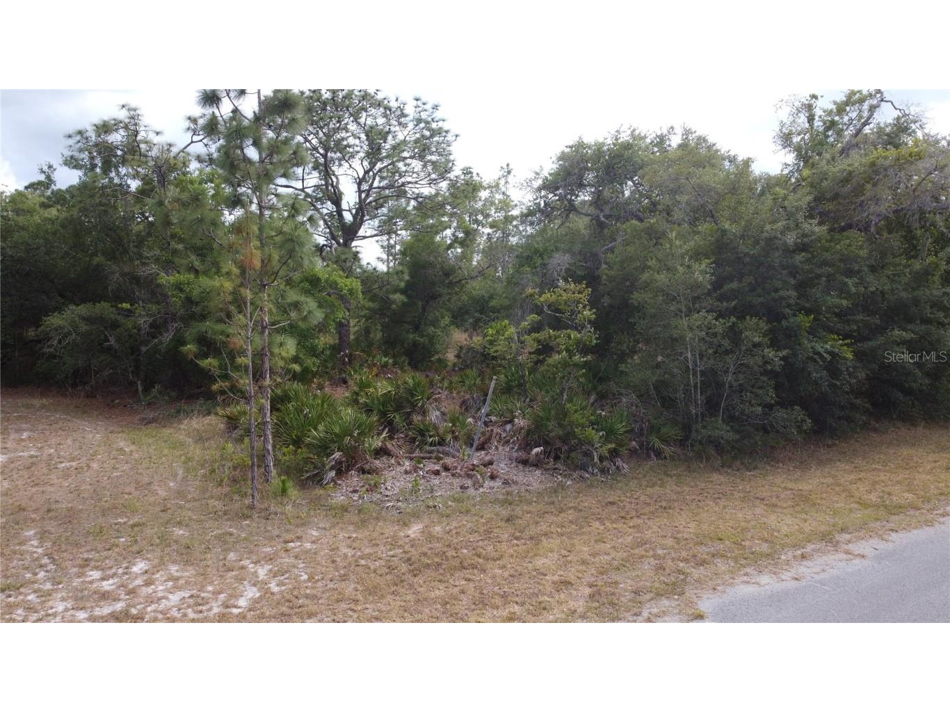 0 Plumosa Drive Indian Lake Estates FL 33855 P4930182 image1