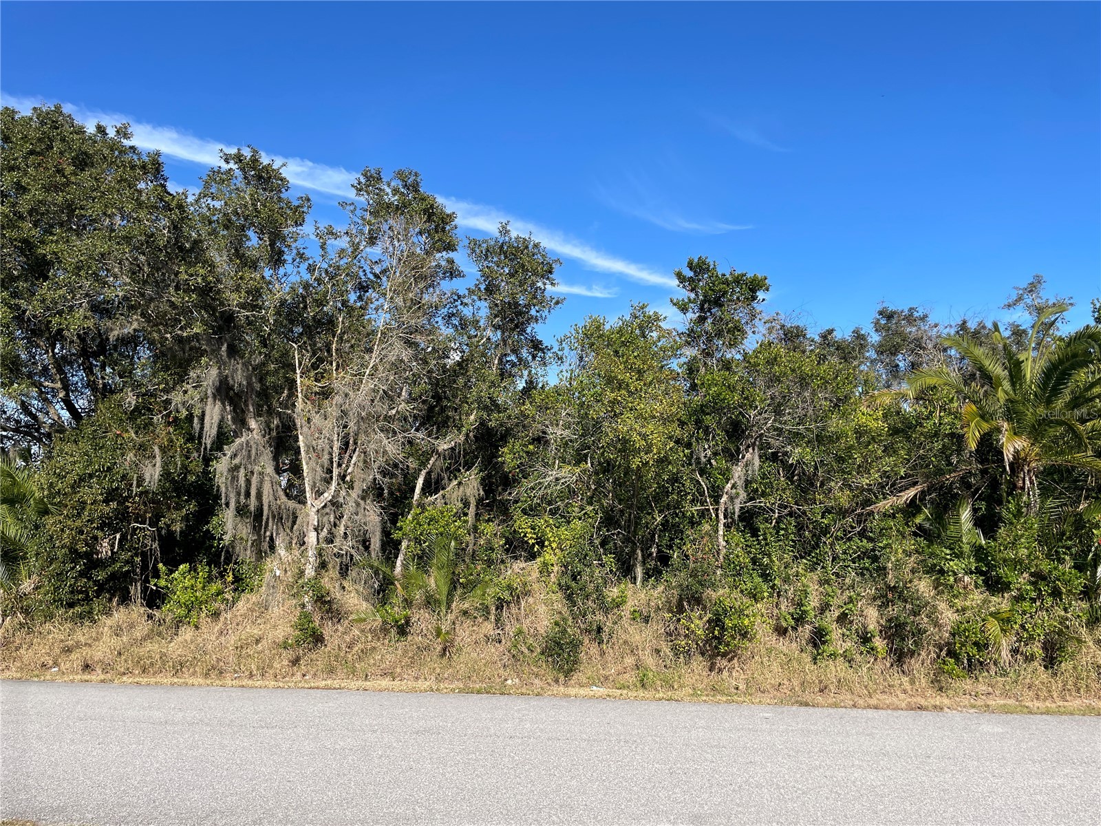 0 Poinsettia Drive Lake Wales FL 33898 A4694208 image1