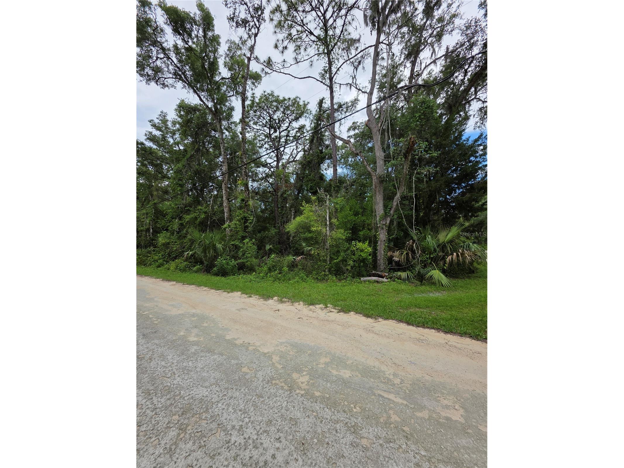 0 Pointview Road Brooksville FL 34601 W7886223 image4