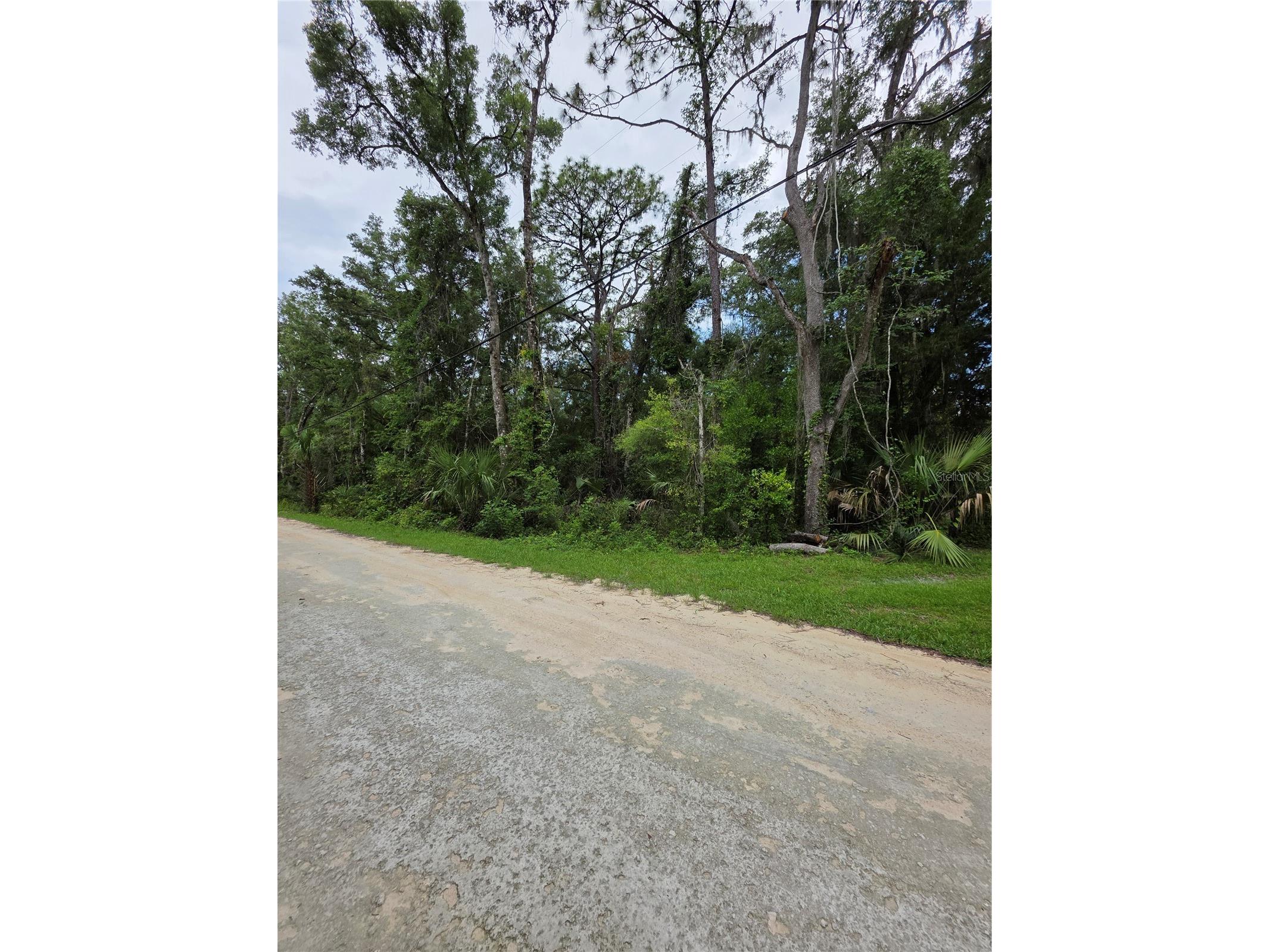 0 Pointview Road Brooksville FL 34601 W7886223 image7