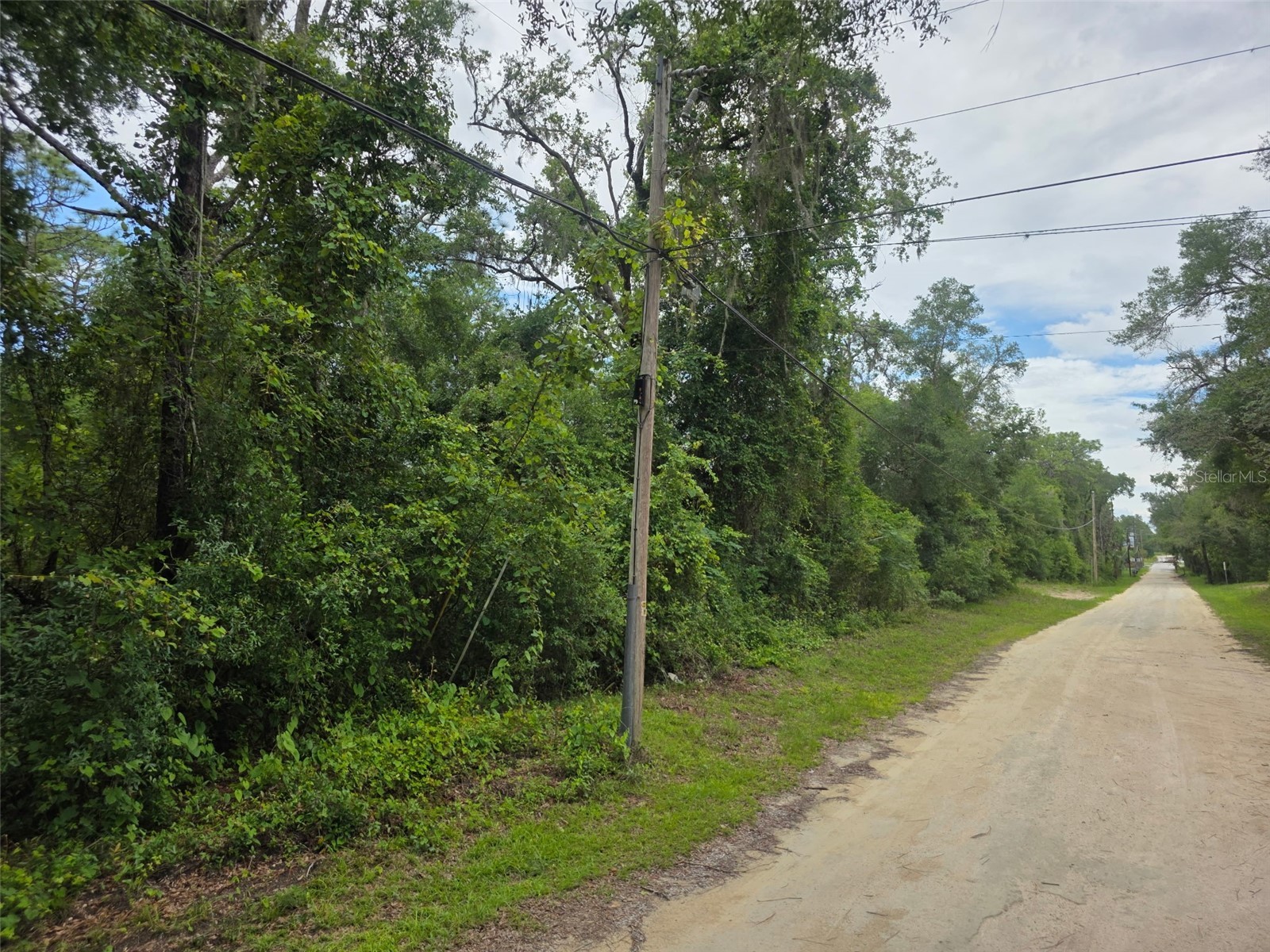 0 Pointview Road Brooksville FL 34601 W7886223 image8