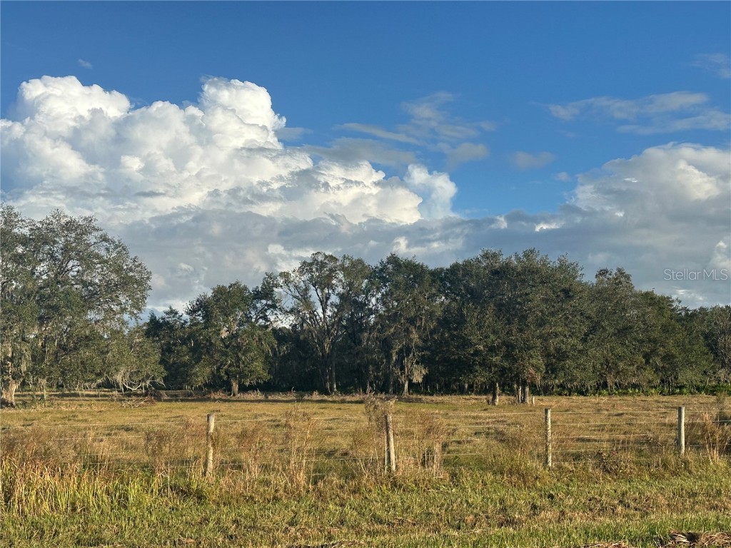 0 Polk Road Wauchula FL 33873 A4632828 image12