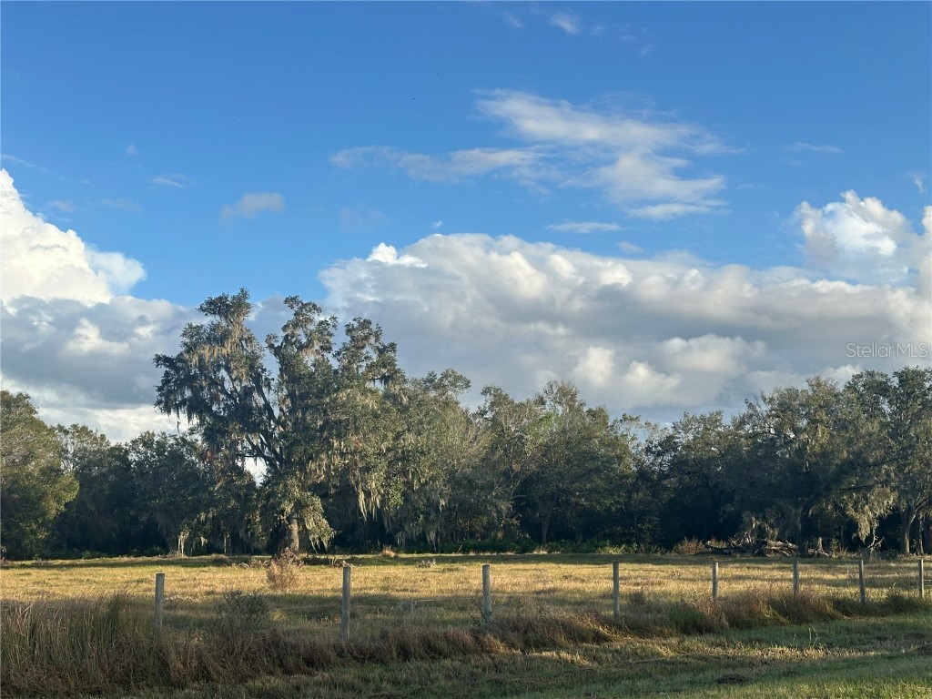 0 Polk Road Wauchula FL 33873 A4632828 image15