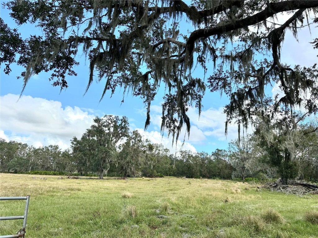 0 Polk Road Wauchula FL 33873 A4632828 image24