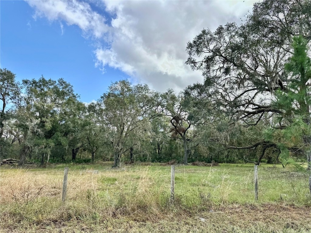 0 Polk Road Wauchula FL 33873 A4632828 image25