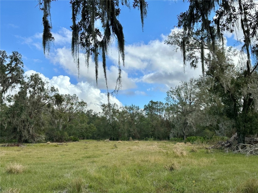 0 Polk Road Wauchula FL 33873 A4632828 image6