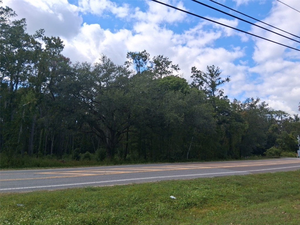 0 Ponce De Leon Boulevard Brooksville FL 34601 W7879902 image2