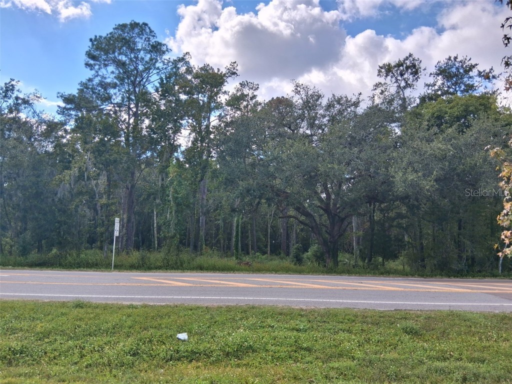 0 Ponce De Leon Boulevard Brooksville FL 34601 W7879902 image3