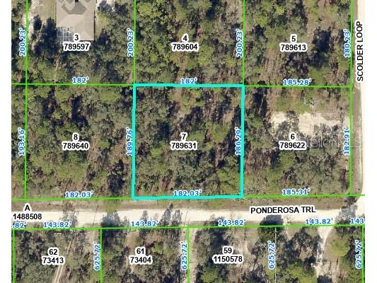 0 Ponderosa Trail Weeki Wachee FL 34614 W7856960 image1