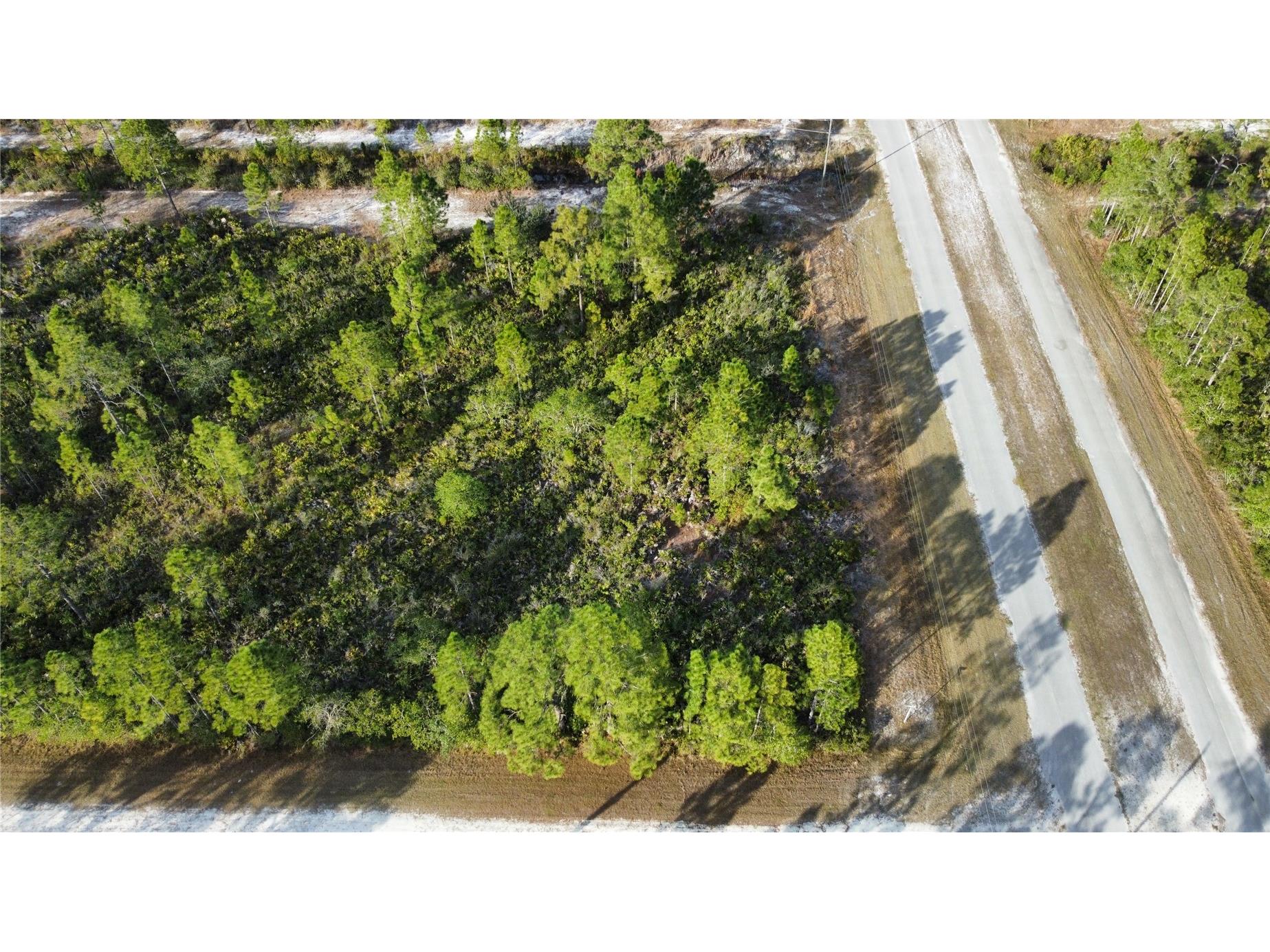 0 Portulaca Drive Indian Lake Estates FL 33855 S5138354 image2