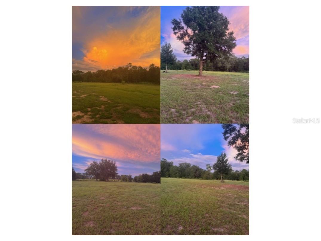 0 Powell Road Brooksville FL 34602 W7881273 image9