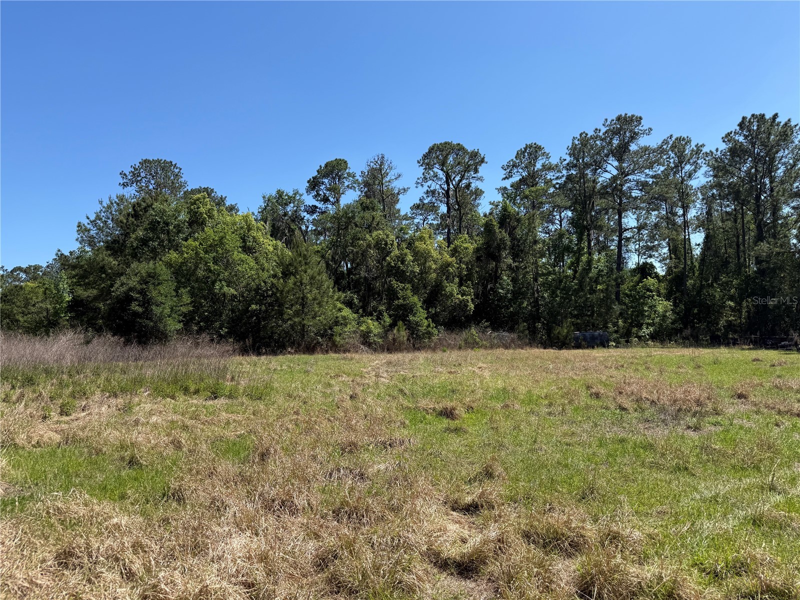 0 Powell Road Brooksville FL 34604 W7885040 image1