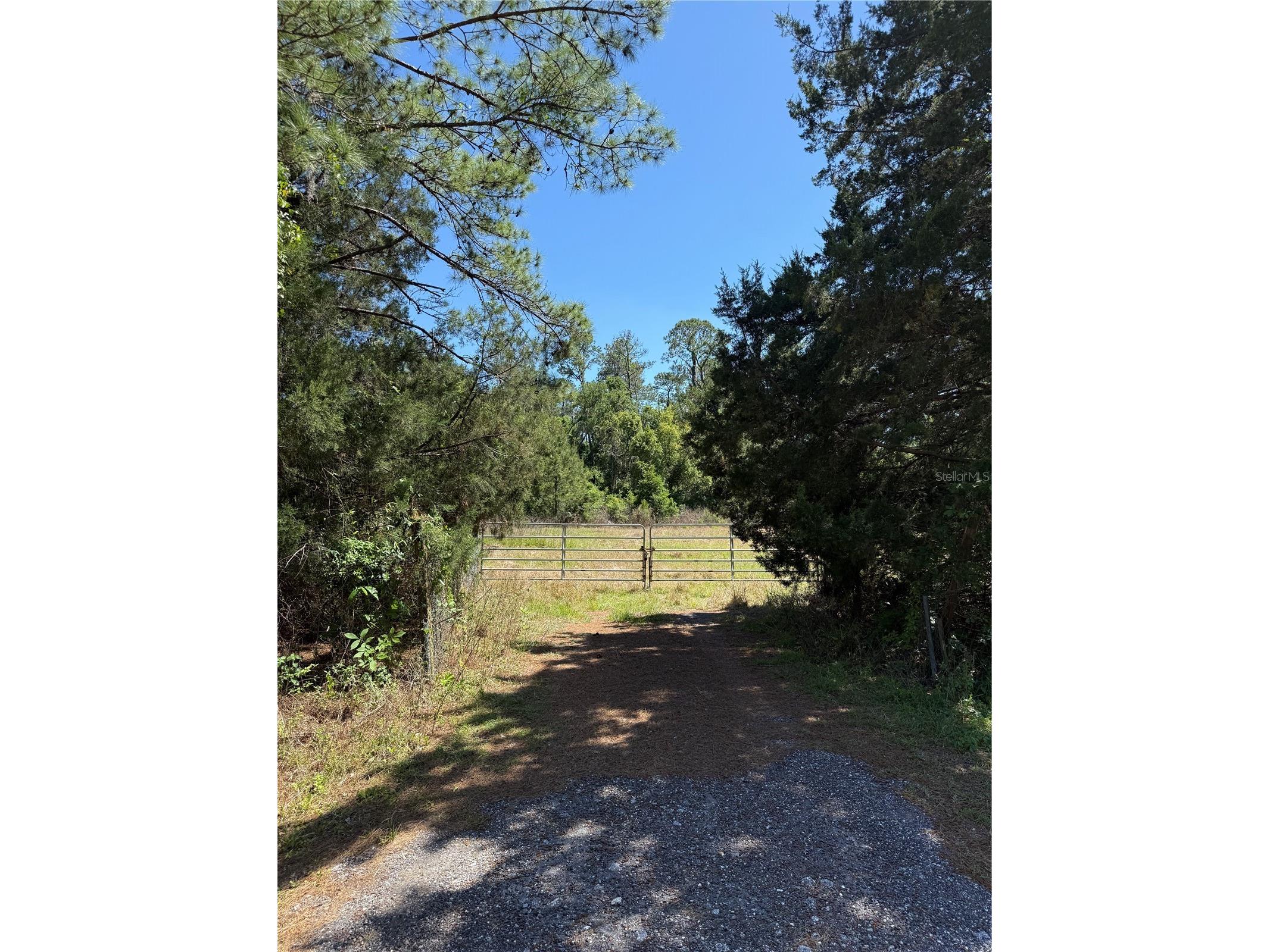 0 Powell Road Brooksville FL 34604 W7885040 image10