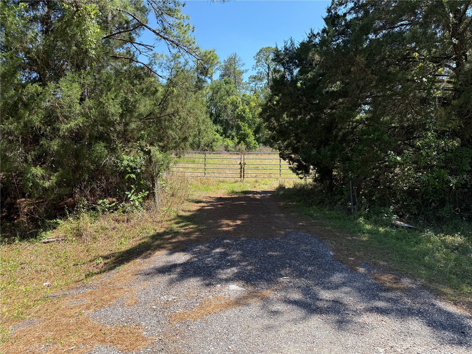 0 Powell Road Brooksville FL 34604 W7885040 image2