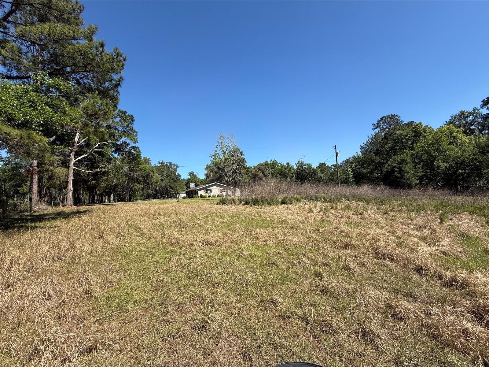 0 Powell Road Brooksville FL 34604 W7885040 image3