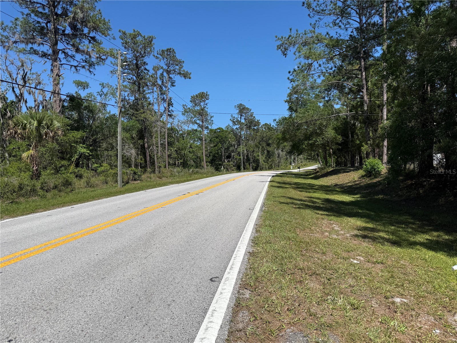 0 Powell Road Brooksville FL 34604 W7885040 image5