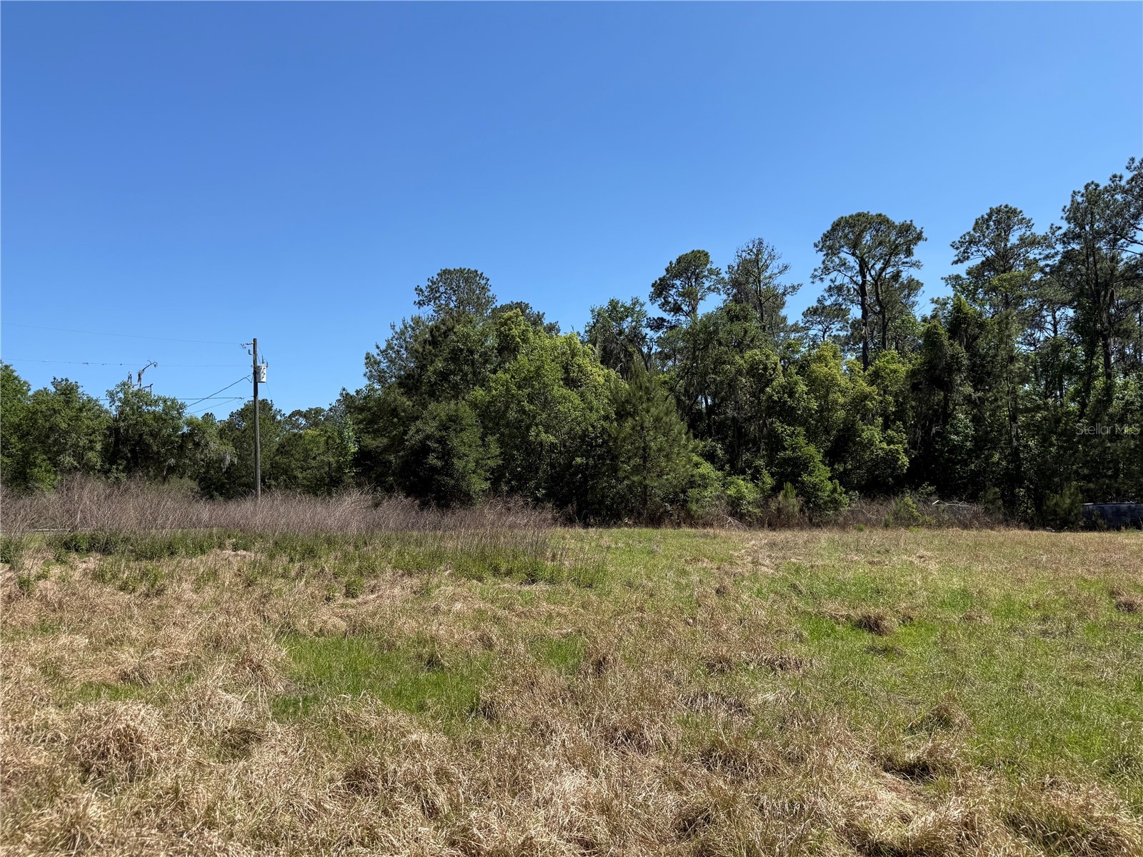 0 Powell Road Brooksville FL 34604 W7885040 image6