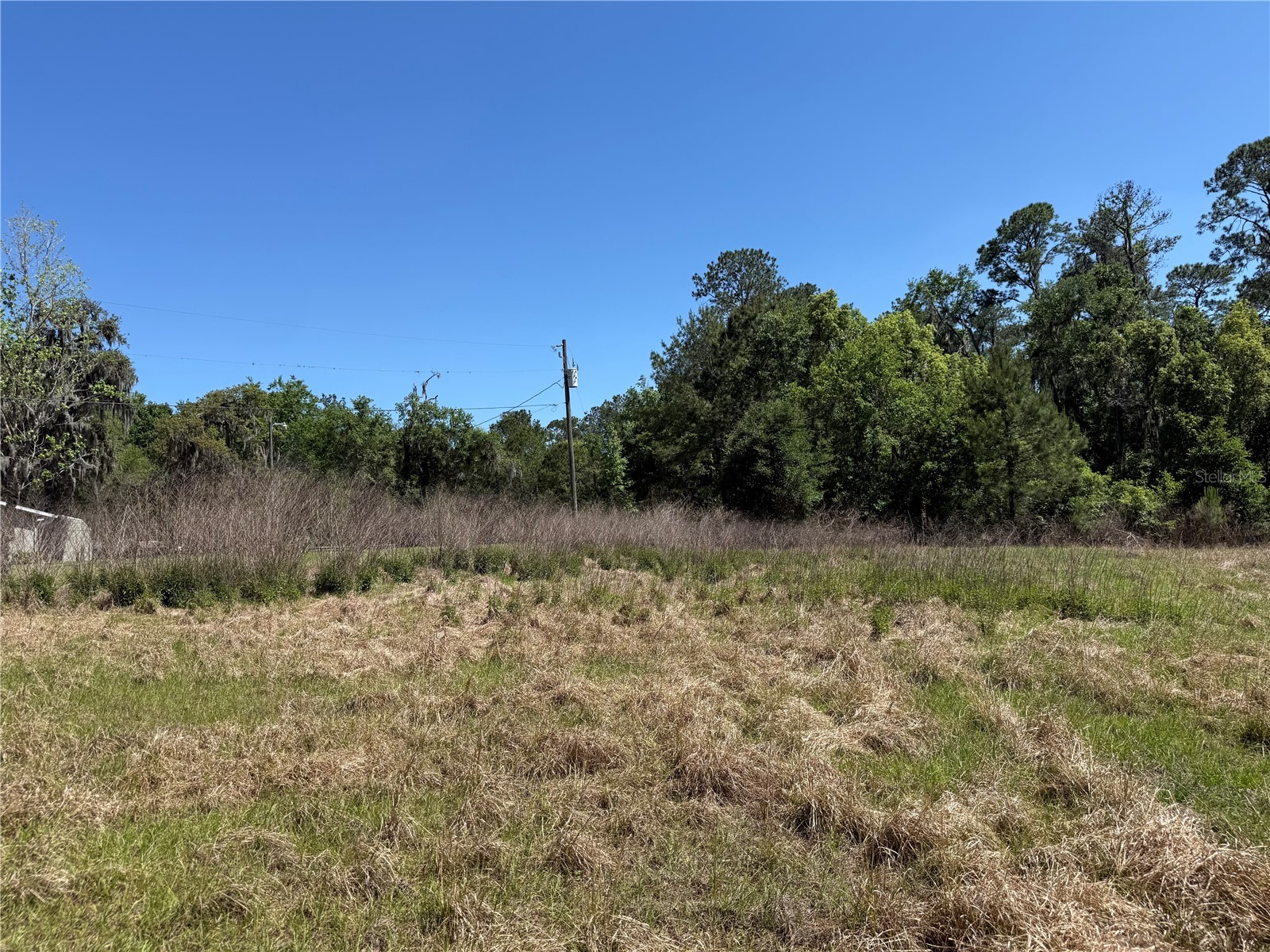 0 Powell Road Brooksville FL 34604 W7885040 image7