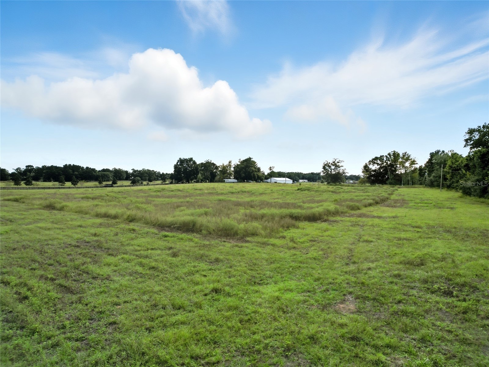 0 Powerline Road Dade City FL 33523 TB8429781 image3