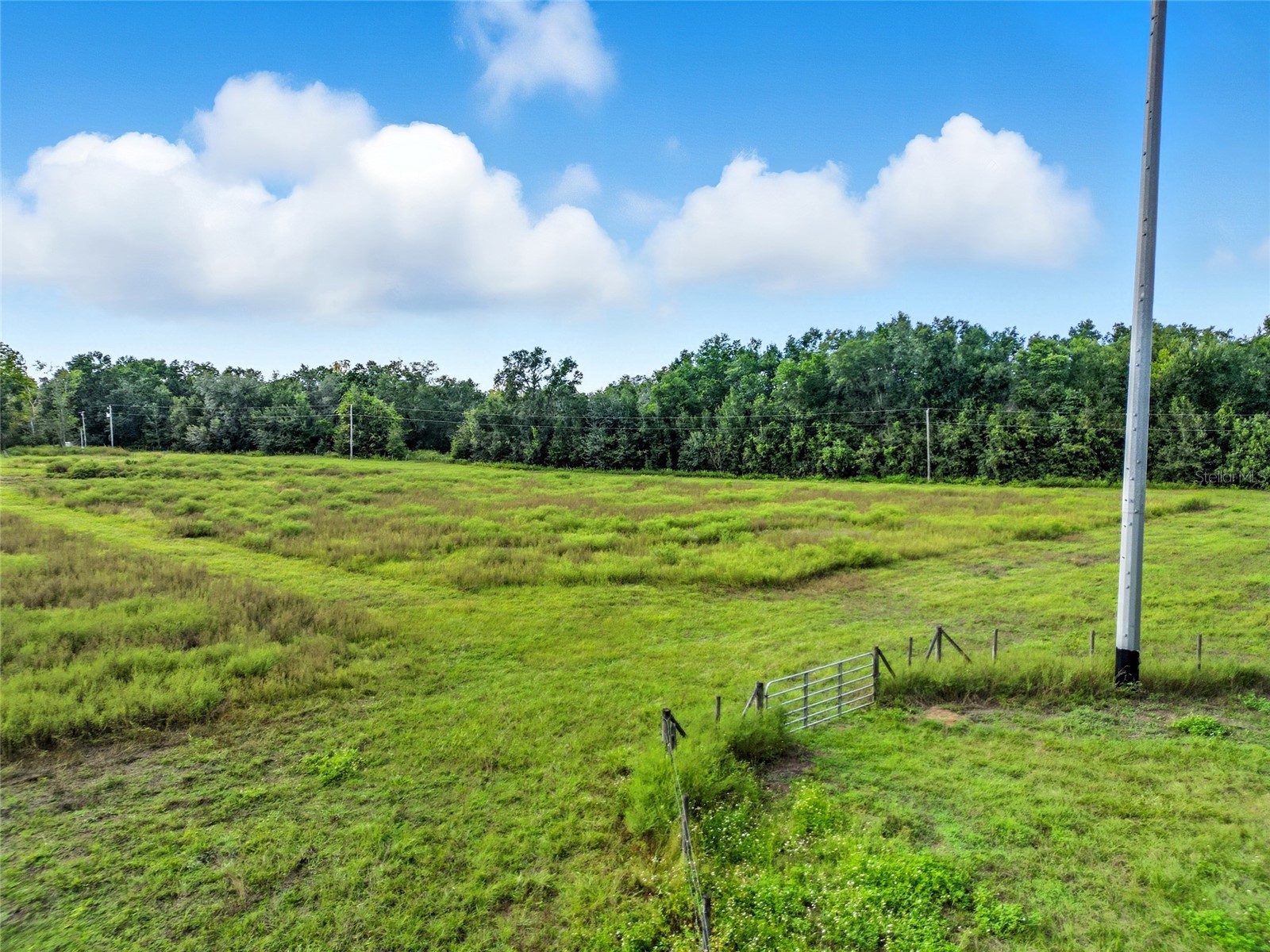 0 Powerline Road Dade City FL 33523 TB8429781 image6