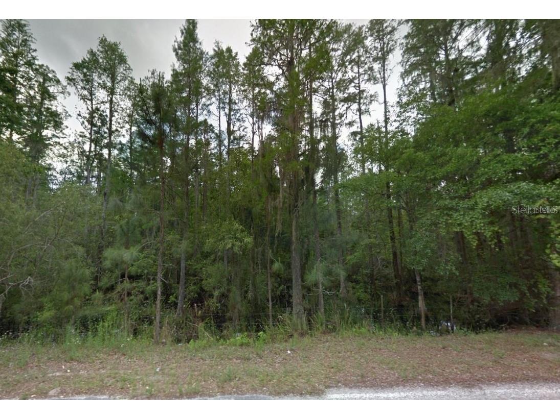 0 Poyner Road Polk City FL 33868 O6363921 image2