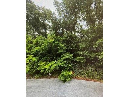 0 Prespare Court Spring Hill FL 34606 TB8366522 image1