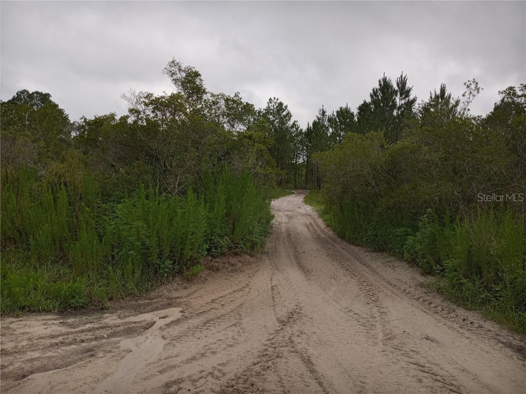 0 Primrose Lane Webster FL 33597 U8151370 image1