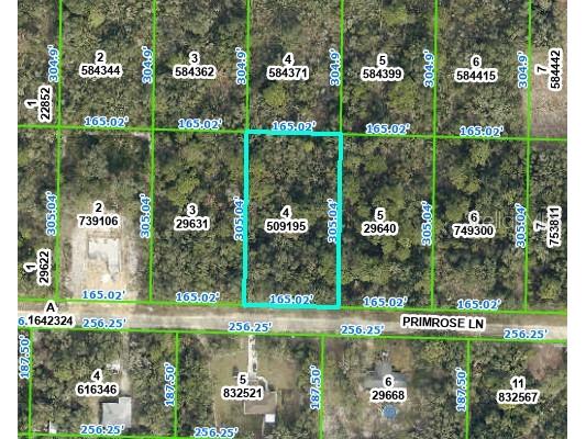 0 Primrose Lane Webster FL 33597 W7859420 image1