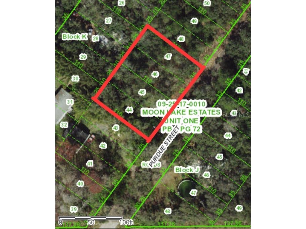 0 Purdue Street New Port Richey FL 34654 TB8359526 image1