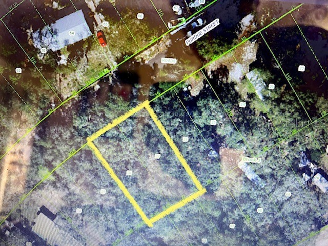 0 Purdue Street New Port Richey FL 34654 - Moon Lake W7867197 image1