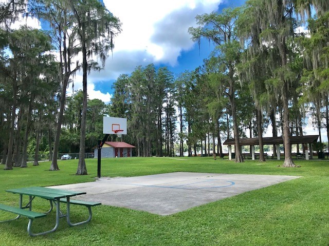 0 Purdue Street New Port Richey FL 34654 - Moon Lake W7867197 image5