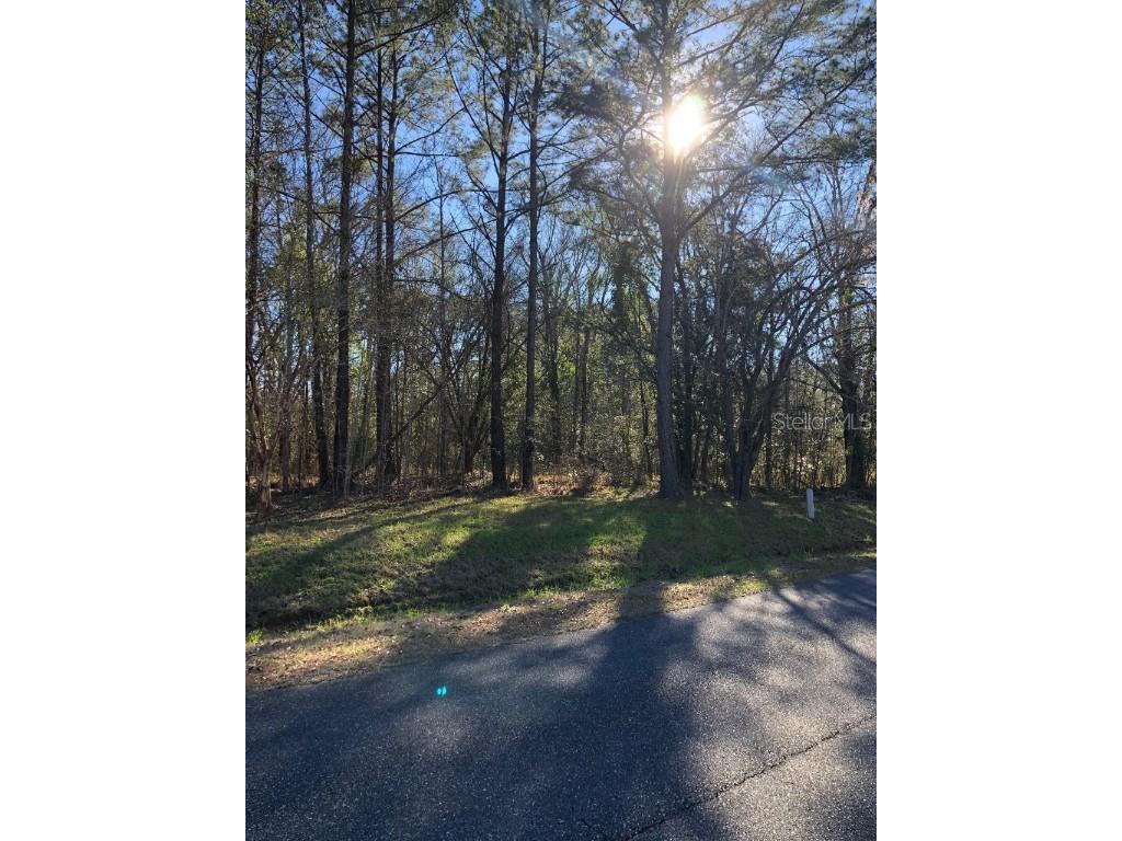 0 Quail Roost Drive Quincy FL 32352 OM667763 image1