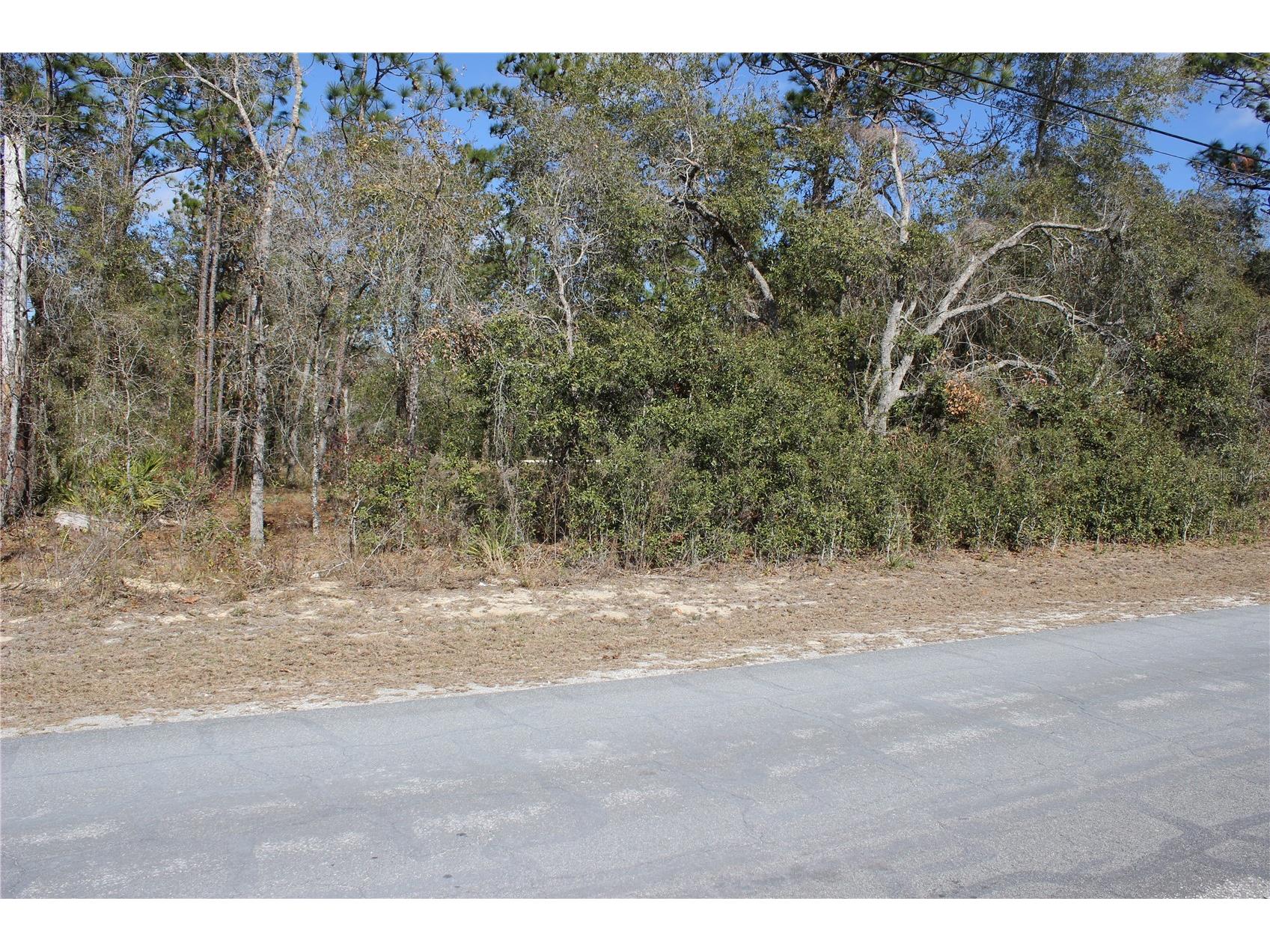 0 Quigley Avenue Weeki Wachee FL 34614 W7883002 image2